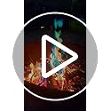 HGD (6 Pack) Magic Campfire Fire Color Changing Packets for Fire Pit, Indoor/Outdoor Fireplace, Bonfire - Rainbow Magical ...