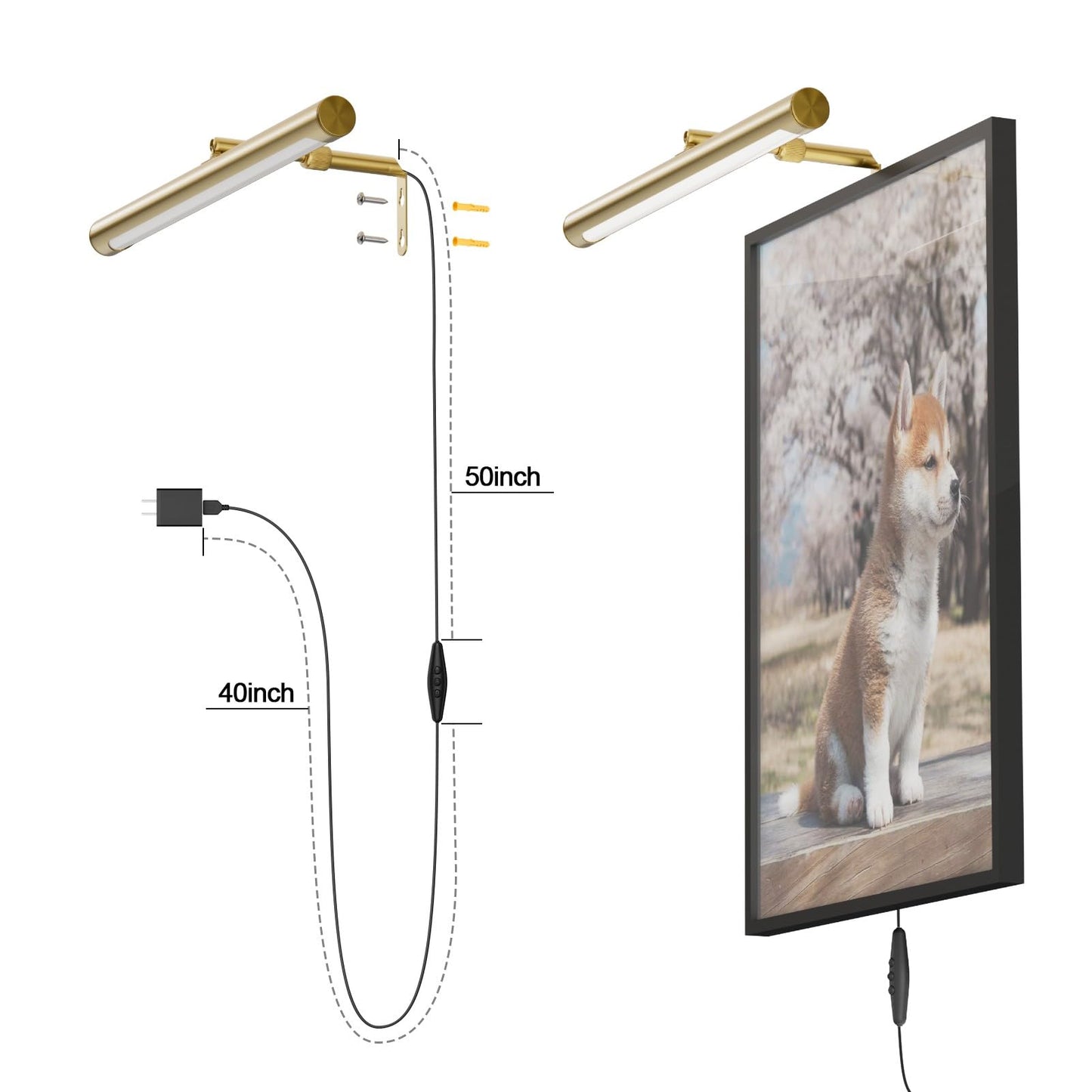 Coinmit Picture Lights for Paintings Plug in, 16" Adjustable LED Gold Picture Light Art Light, Remote Control Gallery Painting Wall Light for Picture Display Dartboard Art Work (Gold)