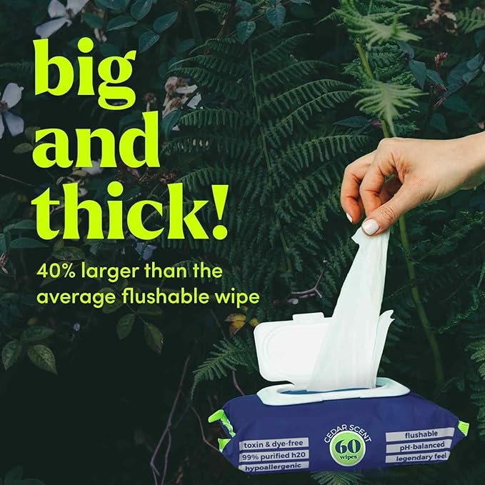 goodwipes Flushable Butt Wipes Made with Vitamin E & Aloe - Soft & Gentle Wet Wipe Dispenser for Home Use, Septic & Sewer Safe - Largest Adult Toilet Towelettes - Cedar, 360 Count (6 Packs)