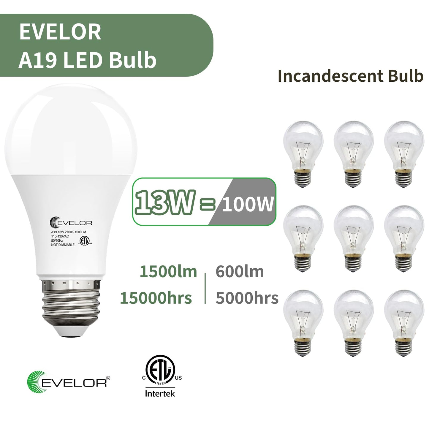evelor 6-Packs A19 LED Light Bulbs,100 Watt Equivalent 2700K Soft Warm White Bright Bulbs Efficient 13W,1500 Lumens E26 Base, Non-Dimmable, 15000-Hour Lifespan for Bedroom, Living Room, Office