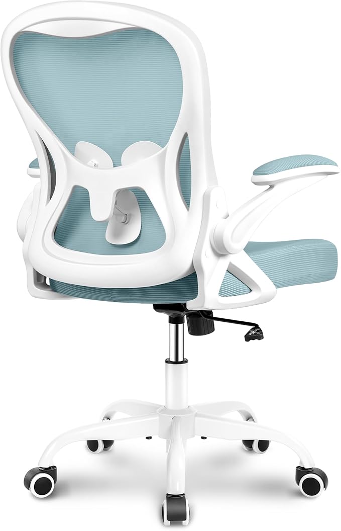 Winrise Ergonomic Office Chair, Mesh Desk Chair with Adjustable Lumbar Support, Flip-Up Armrests, Mid-Back Computer Swivel Task Rolling Chair, Light Blue