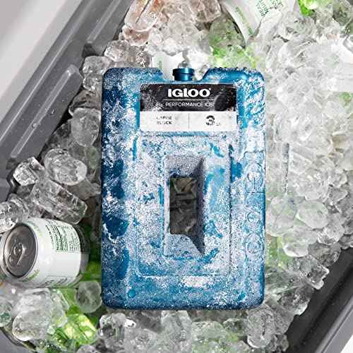 Igloo Performance Ice Block