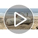 NOONOOJOOJOO White Picnic Blanket & Beach Mat – Canvas, Machine Washable, Large 4’9” × 6’3”