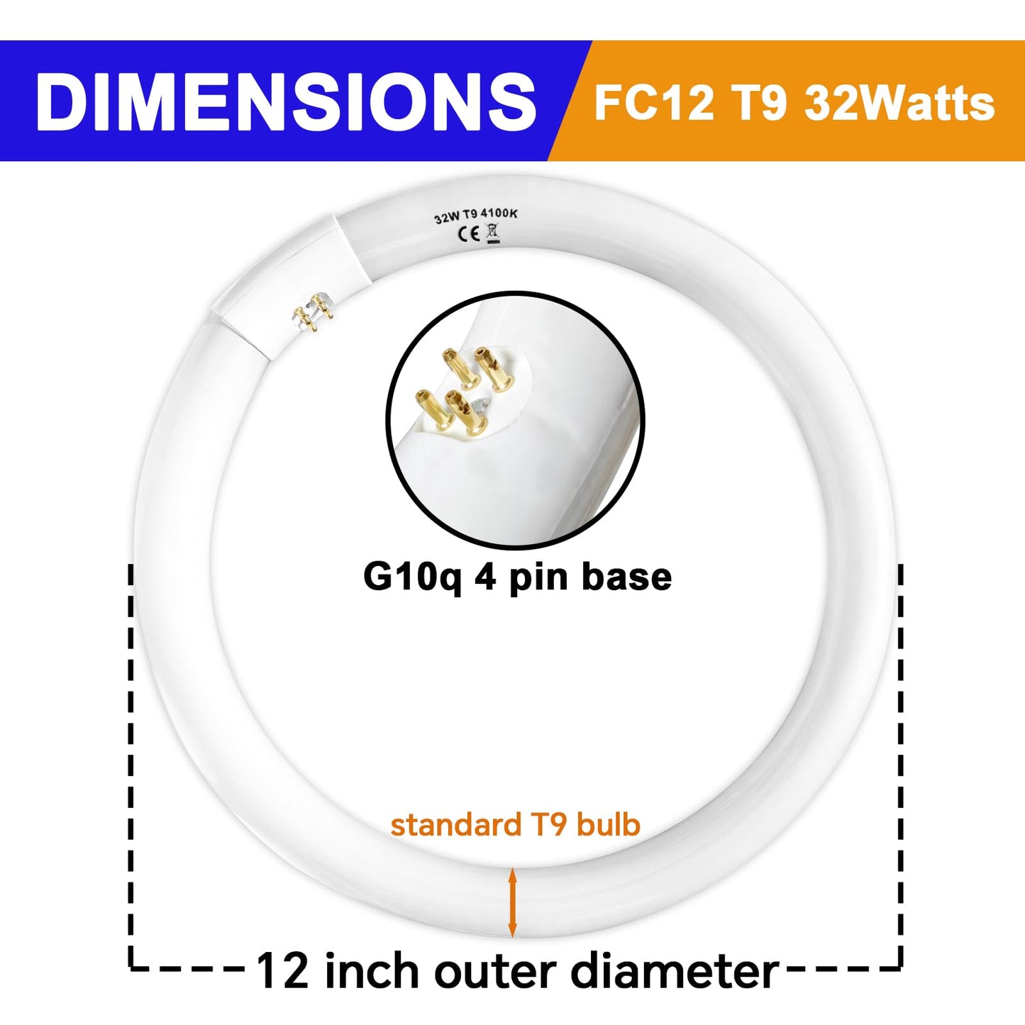 FC8T9/CW 22W and FC12T9/CW 32W Cool White Set, 8 inch T9 22 Watts Circular Light Bulbs, 12 inch 32 Watts Circline Fluorescent Bulb Round Ring Bulb CRI 80, G10q Prong