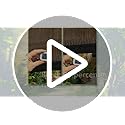 EMERIT 90% Shade Cloth Sun Shade Fabric Privacy Screen Shade Cover for Patio Garden Pergola Shade Cover Canopy with Gromments