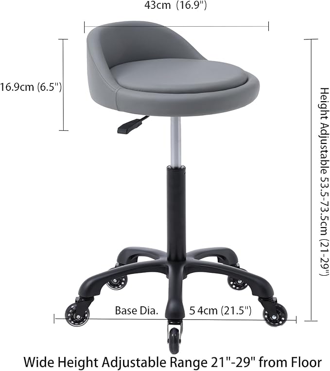 Rolling Salon Stool Chair with Back Support Hydaulic Height Adjustable on Swivel Wheels Heavy Duty for Hair Cutting Esthetician Tatto Beauty Spa Bar Lab Clinic Kitchen Office Home (Dark Gray)