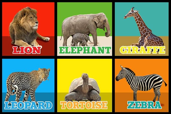 KIDCARPET.COM Animal Picture Squares 4' x 6' Rectangle Area Rug, Educational Classroom Rug, Kids Learning Play Mat | Area Rug for Bedroom or Playroom