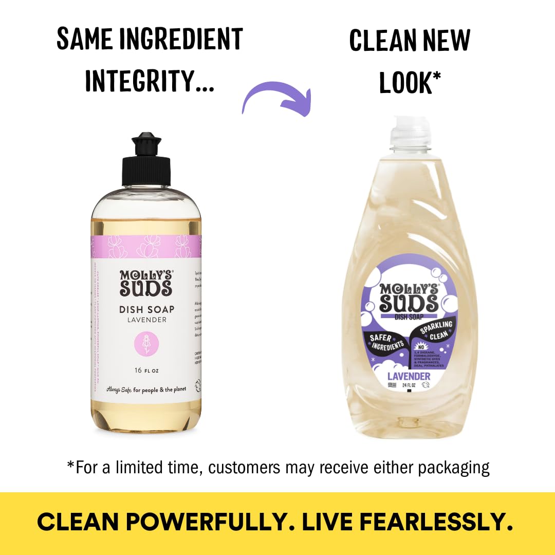 Molly's Suds Liquid Dish Soap | Clean, Simple Ingredients | Extra Scrubbing Power | Lavender Scent, 24 oz - 2 Pack