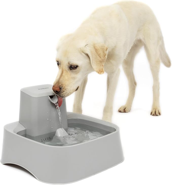 PetSafe Drinkwell Pet Fountain,Dog Water Bowl Dispenser for Cat and Dogs, Plastic, Adjustable Flow Control, Easy to Clean ...
