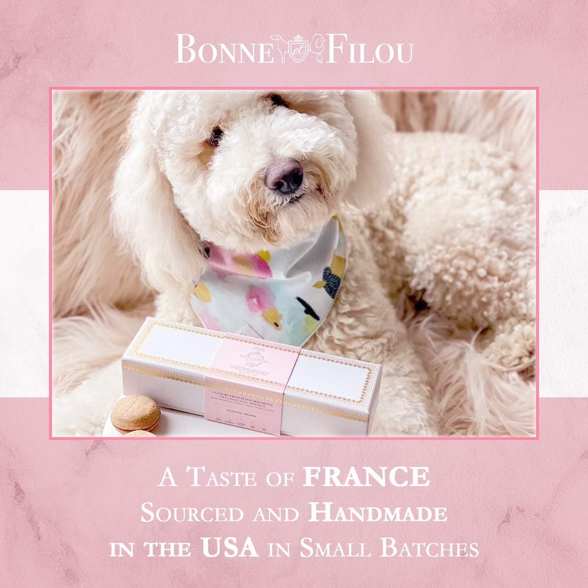 Bonne et Filou Dog Treats Strawberry Cupcakes, Dog Birthday Gift for Medium to Large Breed – Gourmet Macaron Cakes, Healthy & Delicious Human Grade Snacks – 6 Count