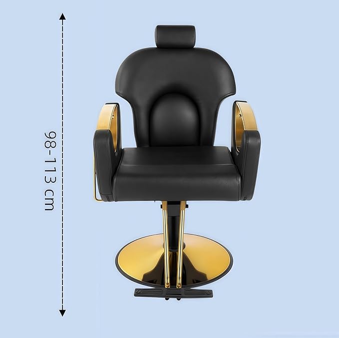 Barber Chair, Salon Chair for Hair Stylist, Height Adjustable Hydraulic Hair Reclining Salon Chair, 360 Degrees Rotation,Black