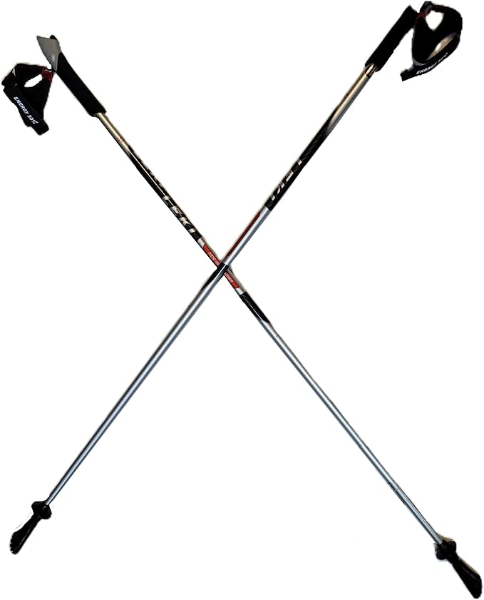 LEKI Nordic Walking Pacer Ultra Lightweight HM Carbon 110cm Silver
