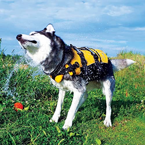Ezydog DFD Dog Life Jacket - Adjustable Swimming Safety Vest with Reflective Trim & Durable Grab Handle - 50% More Flotati...