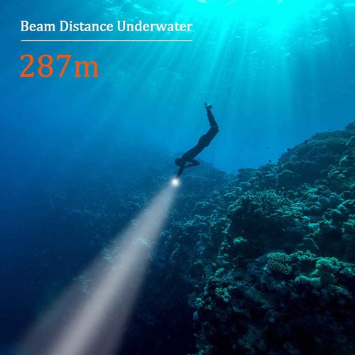 GoZebra D10 4500 Lumen Underwater Light, 3 Modes Dive Light Scuba Diving Flashlight Dive Torch, Waterproof Flashlight Rechargeable, Safety Dive Lights with Battery and Charger for Night Diving