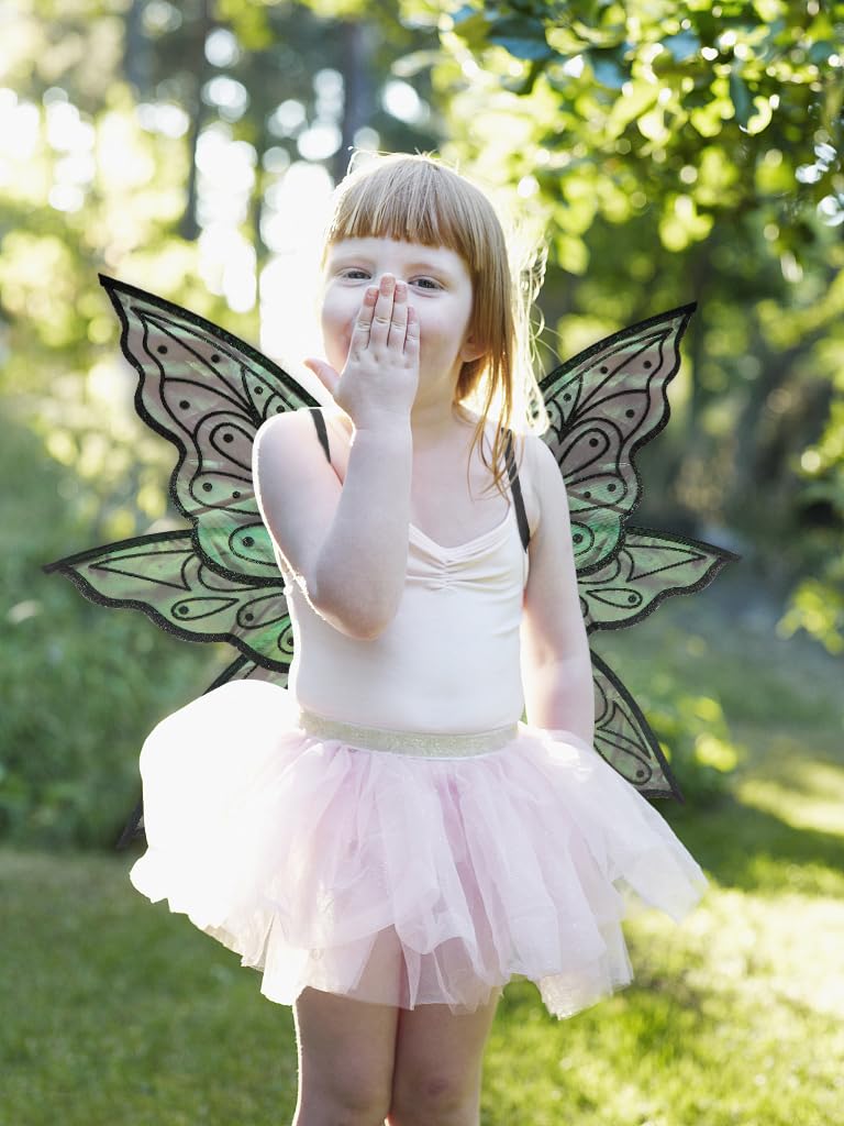 ALIBBON Fairy Wings Black Transparent Fairy Wings Costume, Glitter Butterfly Wings Princess Angel Elf Dress Up Accessories for Halloween Xmas Party Cosplay Costume Holiday Decorations