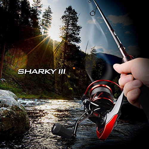 KastKing Sharky III Spinning Fishing Reel,Size 1000, KastKing Crixus Fishing Rods, Spinning Rod 6ft -Medium Light - M Fas...