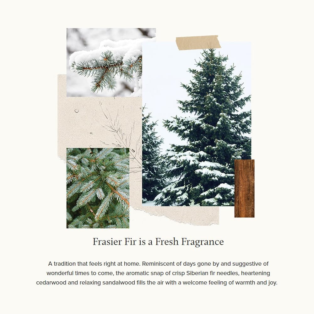 Thymes Frasier Fir Reed Diffuser Set – Includes Reeds, Fragrance Oil, and Frosted Glass Bottle – Fragrance Oil Diffuser – Room Fresheners – Luxury Home Decor – Silver (Statement, 4 fl oz)