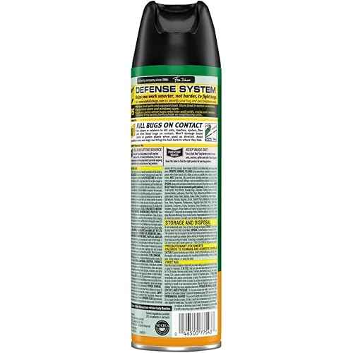 Raid House and Garden Insect Killer Insecticide Aerosol Spray - 11 Oz. (Pack of 12)