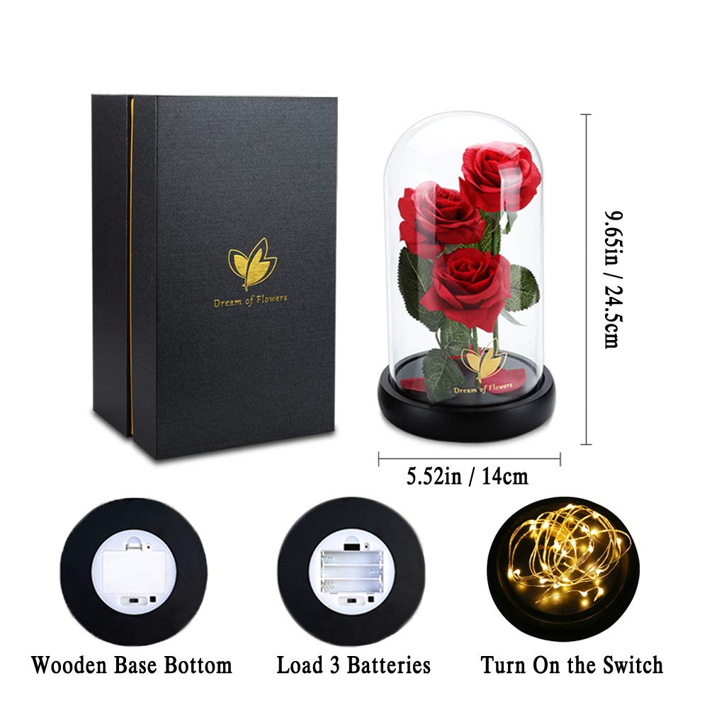 Women Gift Idea Birthday,Unique Gifts for Mom,Beauty and The Beast Rose in Glass Dome with 2 Lights Mode, Birthday Gifts for her,Anniversary Rose Gifts for Wife,Red Silk Rose Flower Gifts for Women
