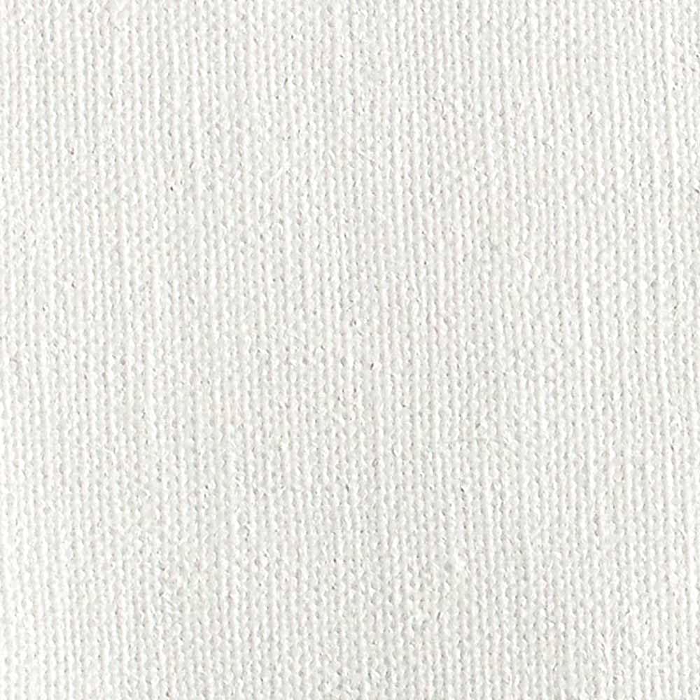 Centurion Deluxe Professional Oil Primed Linen Canvas Panels - 8x10-6 Pack of Linen Canvases for Painting, Artwork and More