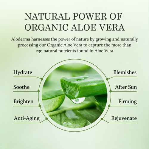 Aloderma Signature Aloe Hydrating Set - 5 Pieces - Aloe Vera Gel, Cleanser, Toner, Serum, Cream