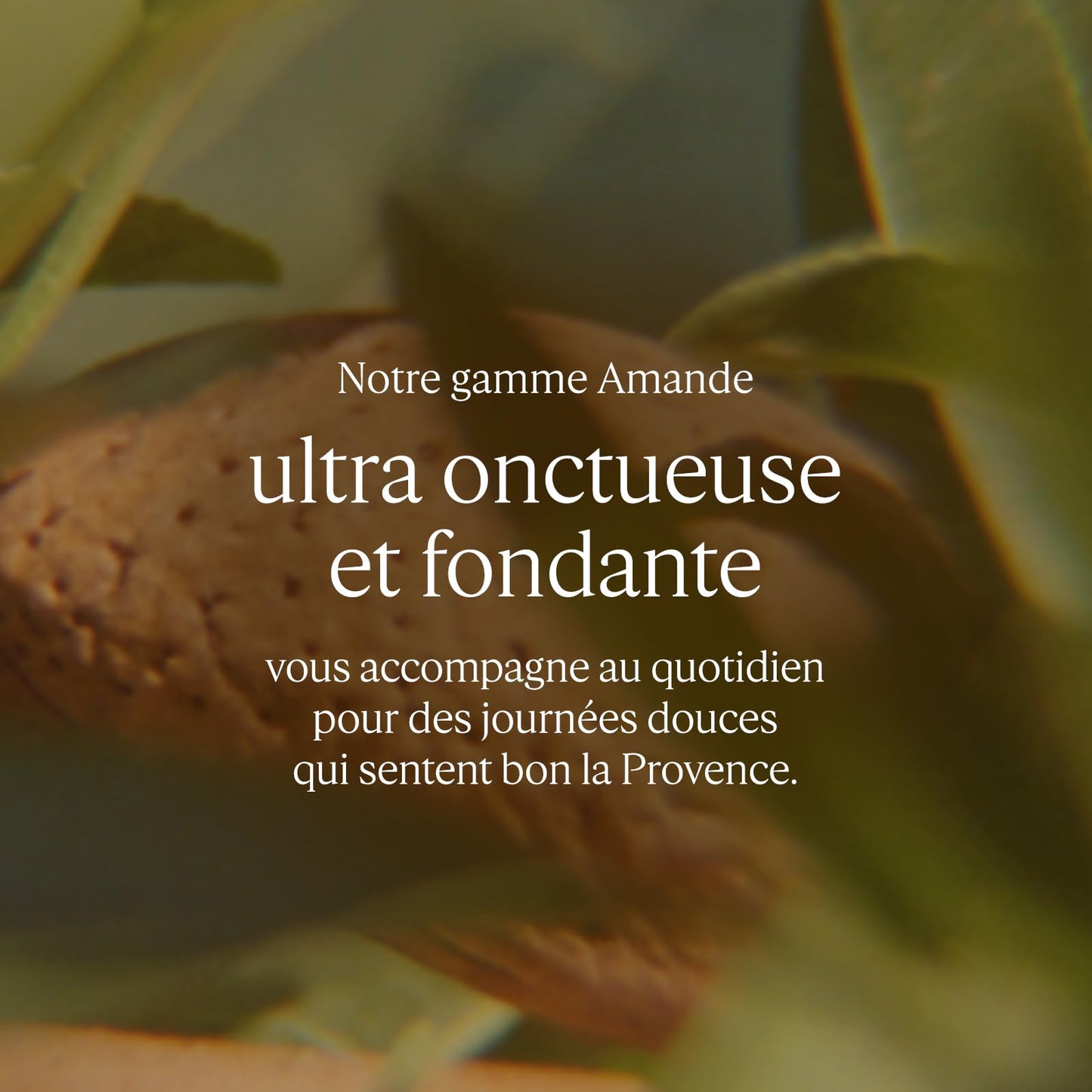 L'Occitane Almond Delicious Hands Moisturizing Hand Cream Enriched with Almond Oil 1.00 fl oz
