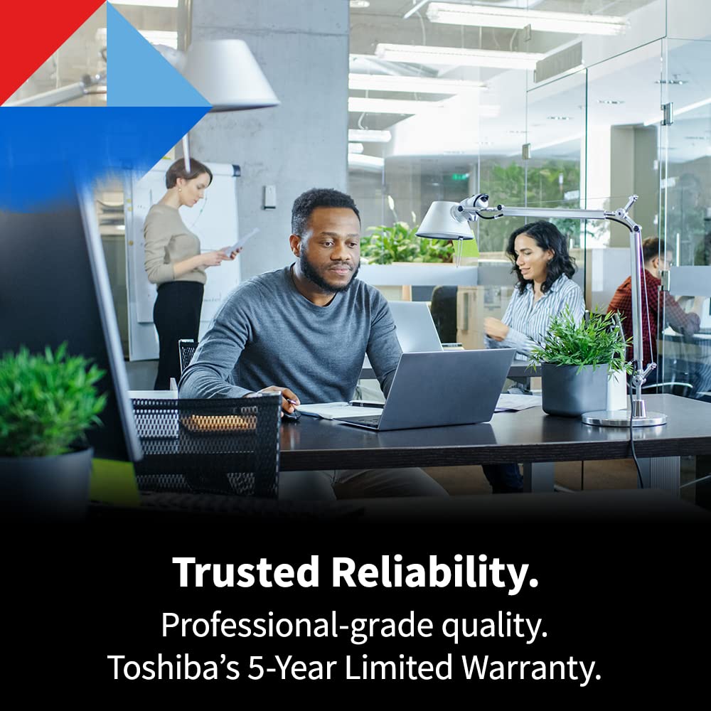 Toshiba N300 Pro 16Tb Large-Sized Business Nas (Up To 24 Bays) 3.5-Inch Internal Hard Drive - Up To 300 Tb/Year Workload Rate Cm