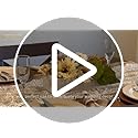 NUPTIO Wooden Box Centerpiece for Table: 2 Pcs 11.8" Long Wood Rectangle Planters - Farmhouse Flower Vase for Fall Wedding...