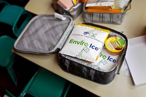 ENVIRO ICE ™ Non Toxic Ice Packs-48 Count (6" x 6" x 3/4") Reusable for Coolers, Food Shipping, Lunch Boxes, and Medicine Shipping