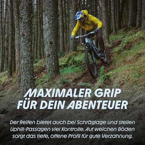 Schwalbe Shredda Rear Tire - 27.5 x 2.50, Tubeless, Folding, Black, Evolution Line, Gravity Pro, Addix Ultra Soft