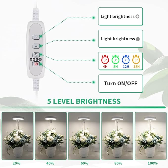 GYTF 2 Pack Halo Plant Grow Light, 6000K White LED Full Spectrum Growing Lamp for Indoor Plants, Succulents, Mini Bonsai, Small Plants, Height Adjustable, Dimmable & Timer 4/8/12/18Hrs