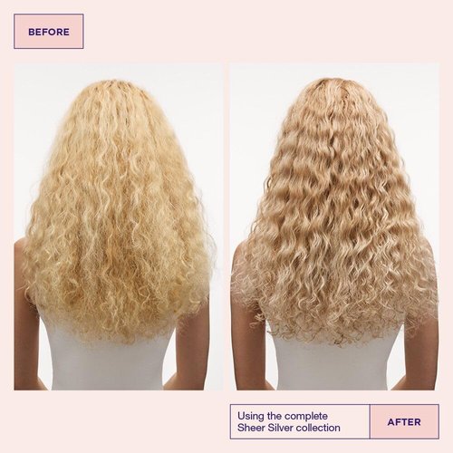 Maria Nila Sheer Silver, Shampoo & Conditioner, Neutralizes Golden Shades, Violet Pigments Gives Cool Tone, 100% Vegan & Sulfate/Paraben free