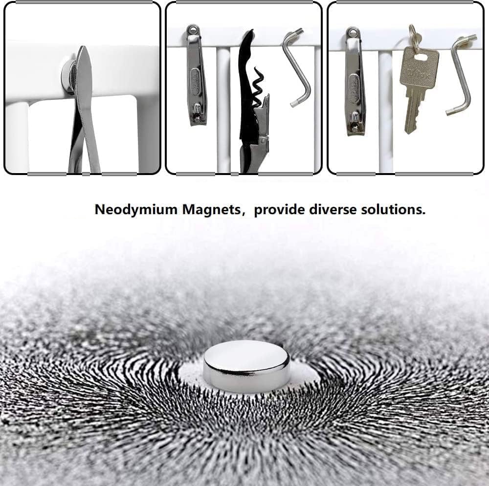 rhinocats 100Pcs Small Strong Magnets，8x2mm Refrigerator Magnets，Mini Round Rare Earth Magnets for Miniatures, DIY, Office, Hobbies, Crafts and Science