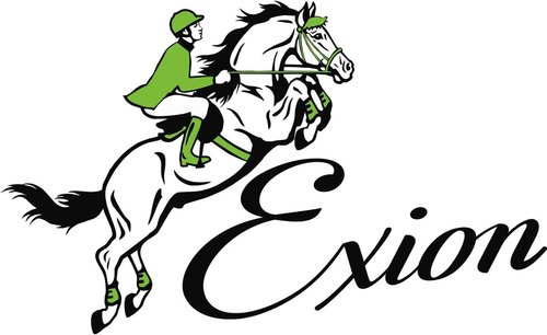 Exion Wide Stability Stirrup Leathers for English Saddles | Premium Cowhide Leather | Enhanced Leg Stability & Comfort | Sizes: 48" to 62" (Havana, 120 cm / 48 inches)