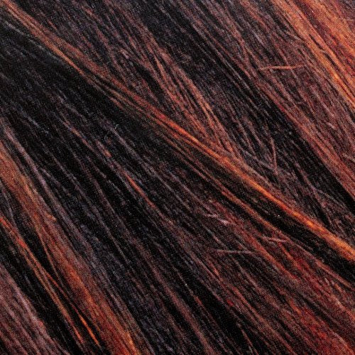 L’Oreal Paris Couleur Experte 2-Step Home Hair Color and Highlights Kit, Chocolate Mousse