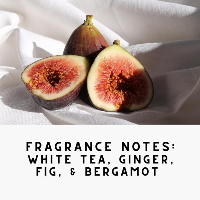 Home White Tea & Fig Carpet Deodorizer Powder For Home, Vaccuuming Upholstery, Christmas/Holiday Scent– Eliminates Odors Naturally, Pet-Friendly