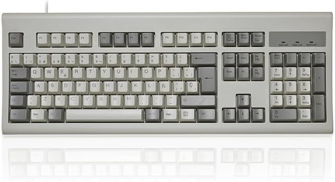 Perixx PERIBOARD-106M ES, Teclado USB Eficiente Full Size, Teclas Ergonómicas Curveadas, Estilo Retro Clásico, Color Gris ...