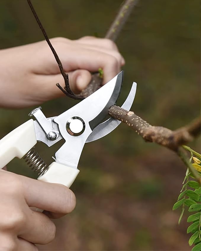 Garden Scissor for Plant, 12 Pcs Floral Scissors, Tip Pruning Shears Bulk for Cutting Flowers, Bonsai, Fruits and Trimming Plants