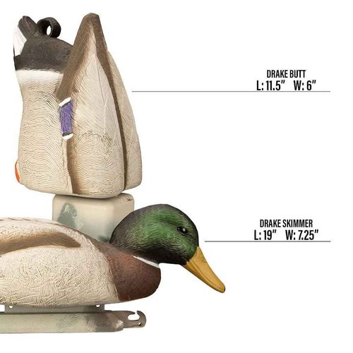 Higdon Outdoors Magnum Mallard Feeder Pack | Foam Filled Drakes 4pk (2 Butts, 2 Skimmers)