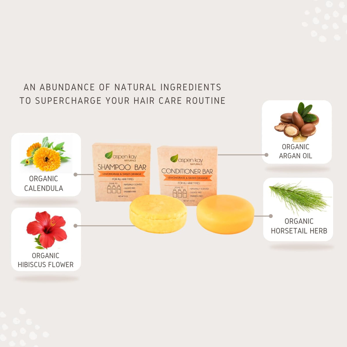 Morrocan Argan Oil Shampoo & Conditioner Bar set - Volumizing & Strengthening Argan Oil Conditioner for All Hair Types, Citrus S