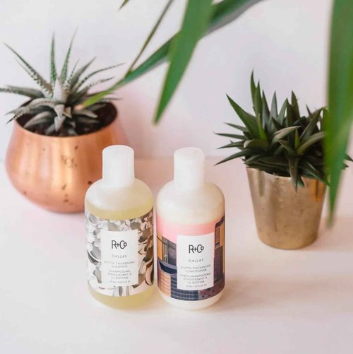 R+Co Dallas Biotin Thickening Shampoo & Conditioner Set + Deluxe Sample (0.5oz) | Adds Volume, Strength & Fullness | Sulfate-Free, Vegan + Cruelty-Free | 8.5oz (Pack of 2)