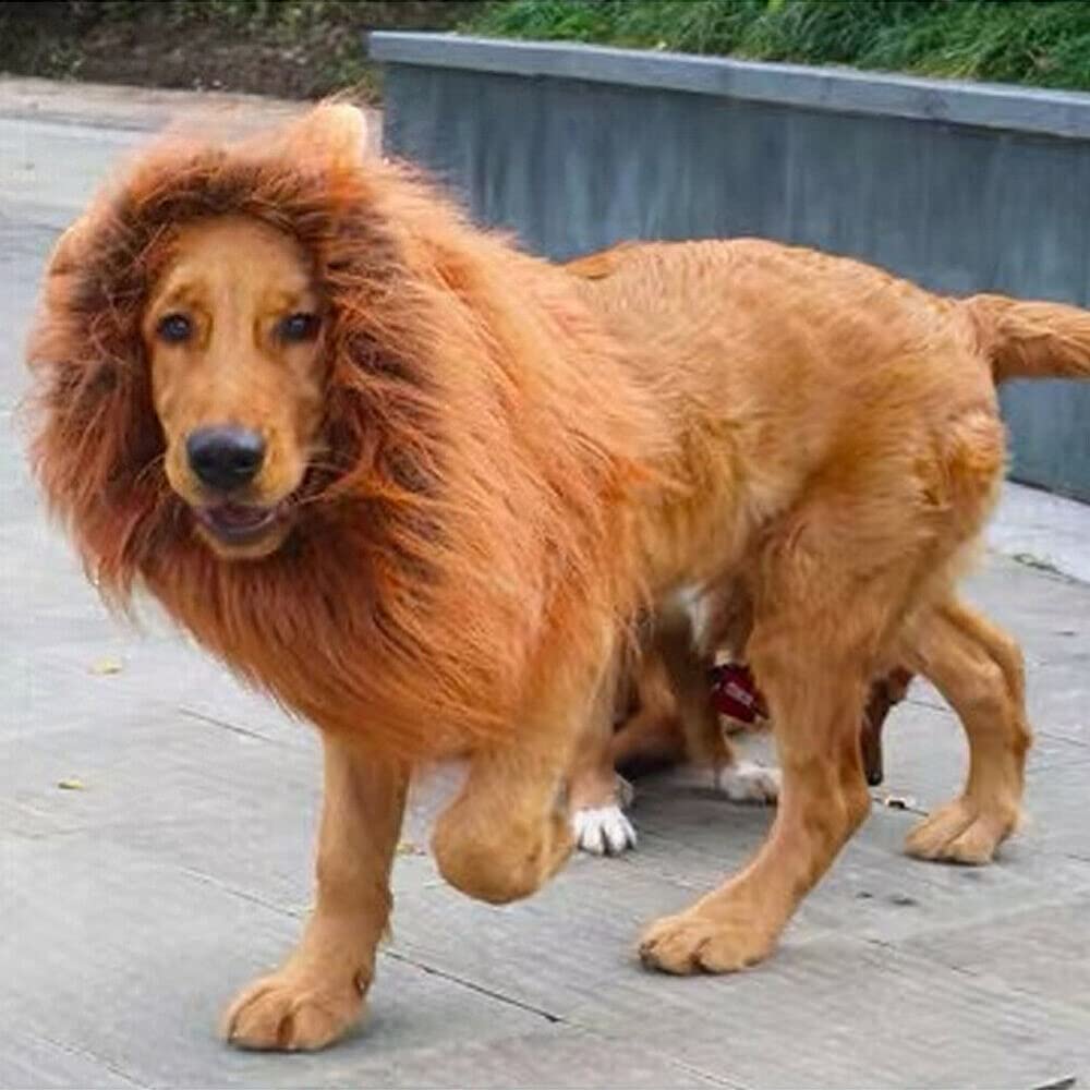 Dog Lion Mane - Halloween Realistic & Funny Lion Mane for Dogs - Complementary Lion Mane for Dog Costumes - Lion Wig for Medium to Large Sized Dogs Lion Mane Wig for Dogs