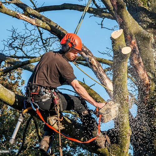 Clakioom Tree Climbing Gear, Tree Climbing Spikes, Tree Climbing Gear with Adjustable Climbing Straps and Steel Core Flip ...