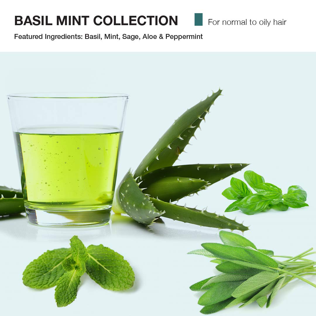 MOP Basil Mint Firm Hold Clay, 2 Oz., Long Lasting Hold, Definition, Textured Matte Finish For All Hair Types