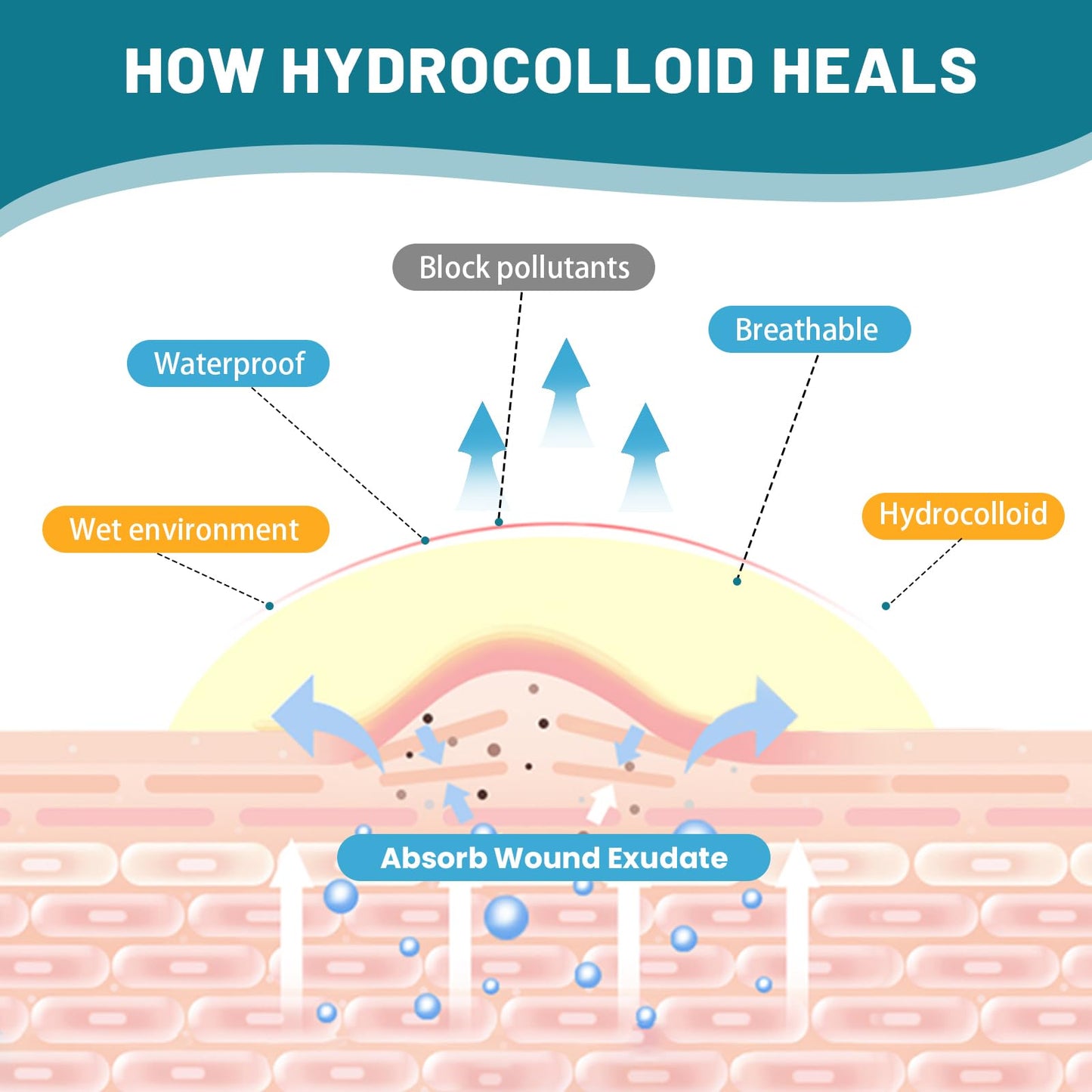WUYUAN Hydrocolloid Roll for Wound Care, Hydrocolloid Bandages with Self-Adhesive, Extra Large Hydrocolloid Patch Bandages Cut-to-Size, Ultra Absorbent, Waterproof First Aid Kit Essential, 2in*6.6ft