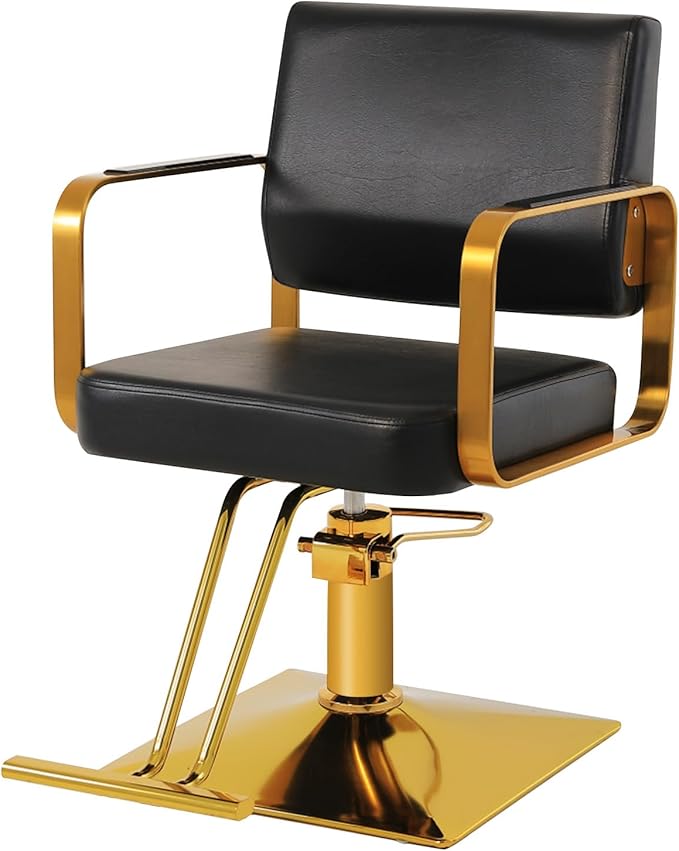 Salon Chairs for Hair Stylist Chair Hydraulic Pump Hair Salon Chair 360 Degree Rotating Barber Chair, Spa Beauty Equipment for Hair Stylists, Tattoo Artists, Cosmetologists (Not Tilting)