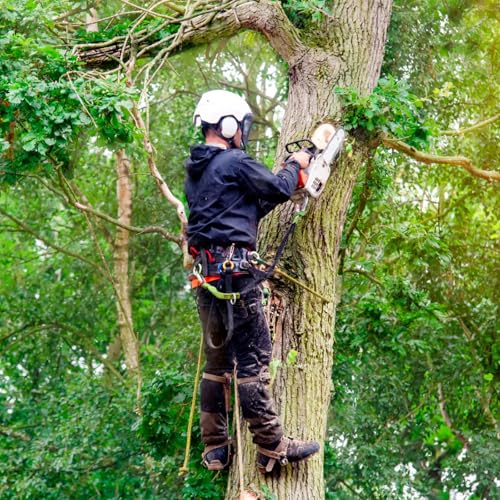 wdsilkbo Tree Climbing Gear, Tree Climbing Spikes, for Tree Work Adjustable Tree Climbing Tool Set