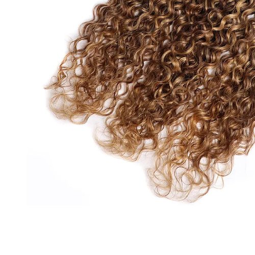 P427 Human Hair Bundles Ombre Highlight Bundle Water Wave Human Hair 3 Bundles 20 22 24 inch #27 and #4 Wet and Wavy Bundle