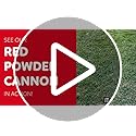 Rainbow Powder Cannons Smoke Bombs Biodegradable Poppers | Assorted 6 Pack | Launch 25 ft | 12 inch | Decorations For Phot...