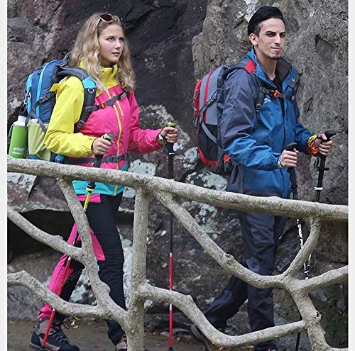 Hiking Poles 7001 Super-Hard Aluminum, Carbon Fiber Trekking Poles Lightweight Collapsible Folding Walking Sticks Included...